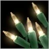 Clear 50 Lights With Green Cord