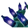 Blue 50 Lights With Green Cord