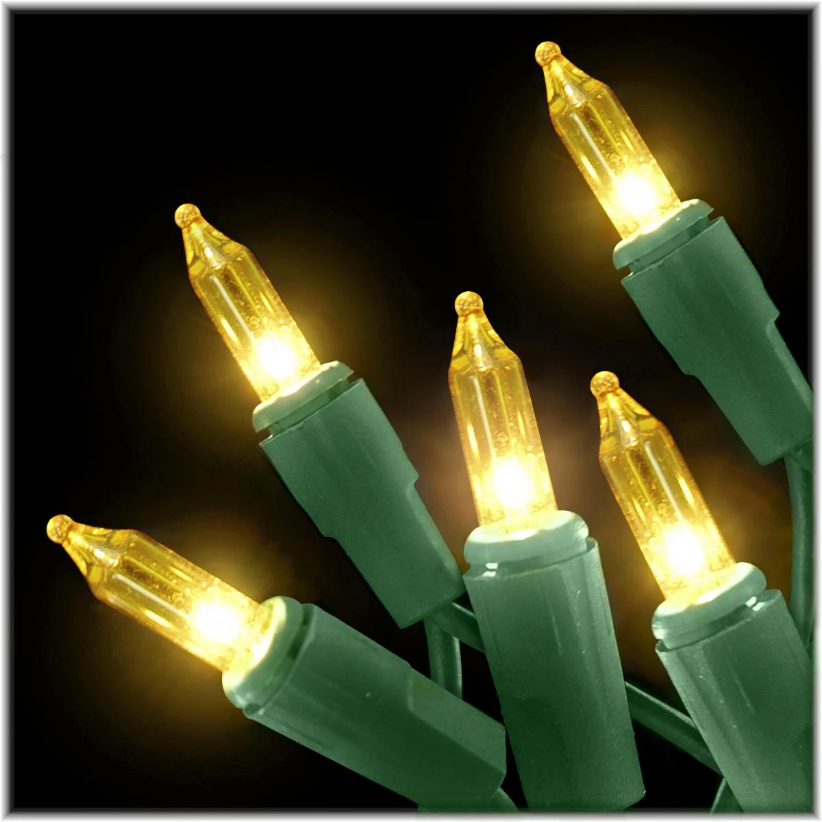 Gold 50 Lights With Green Cord 1 Gold 50 Lights With Green Cord