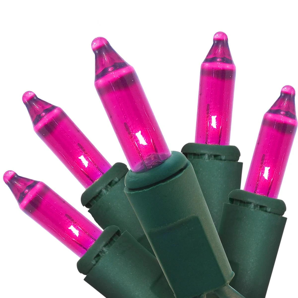 Purple 50 Lights With Green Cord 1 Purple 50 Lights With Green Cord