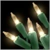 Clear 100 Lights With Green Cord