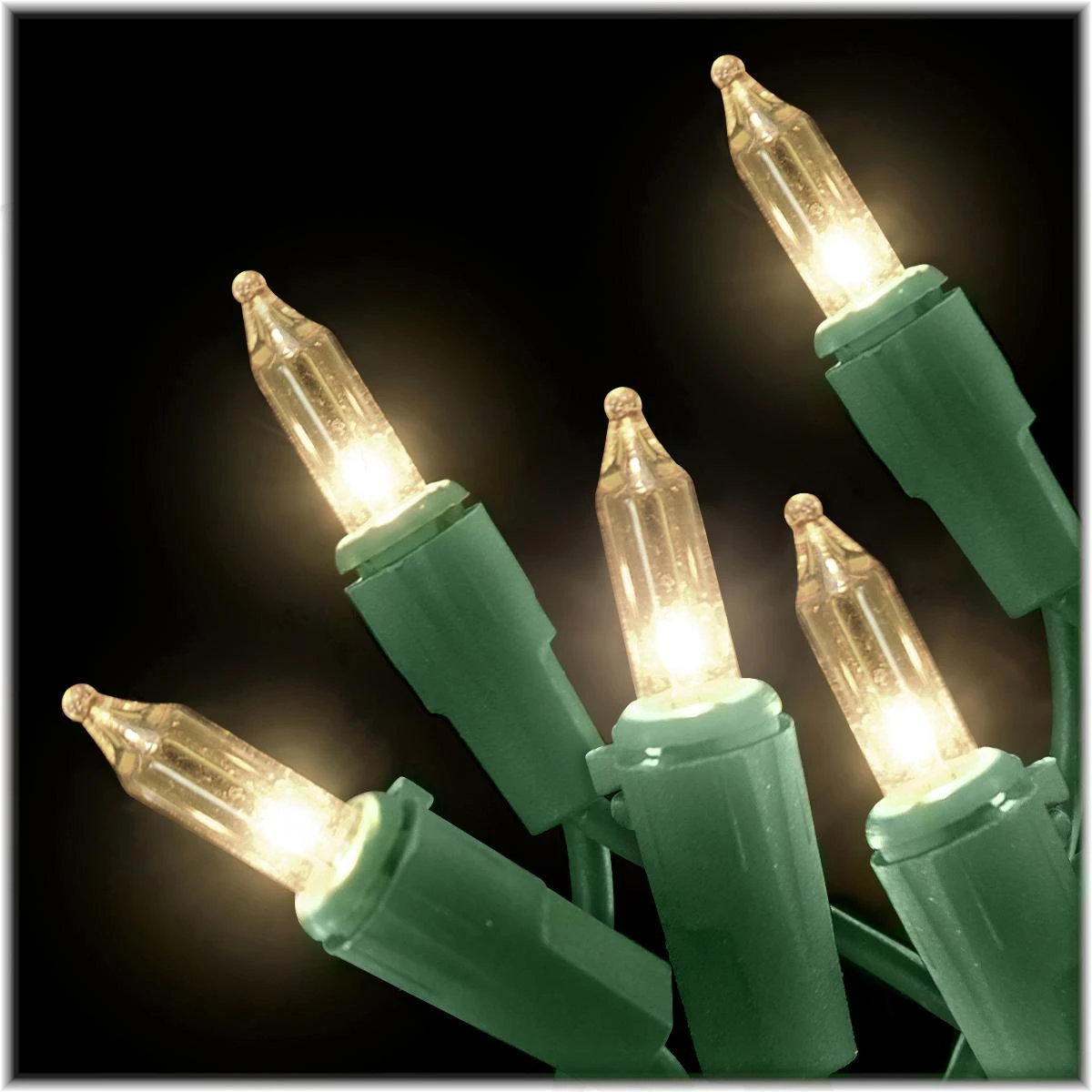 Clear 100 Lights With Green Cord 1 Clear 100 Lights With Green Cord