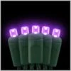 Purple LED 50 Rectified Conical Light Set