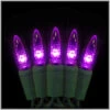 Purple M5 LED 50 Light Set
