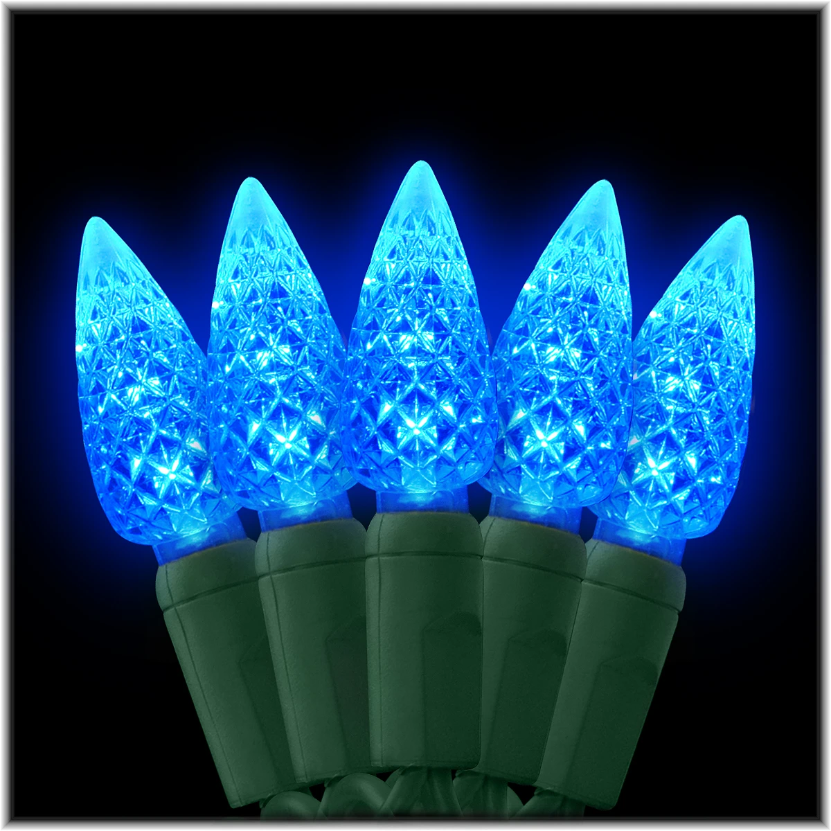 Blue C6 LED 50 Light Set 1 Blue C6 LED 50 Light Set