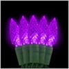 Purple C6 LED 50 Light Set