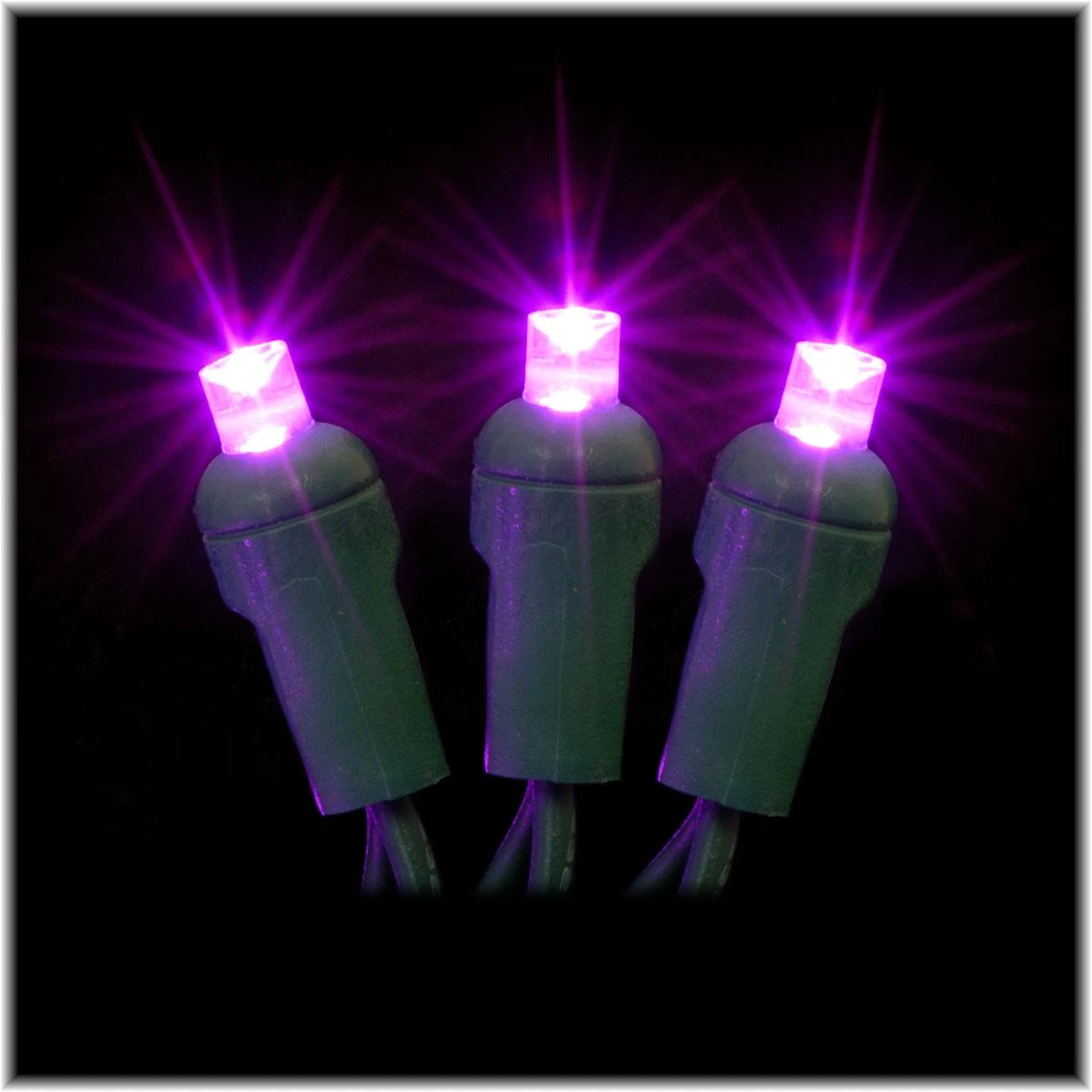 Pink Jewel LED 50 Light Set 1 Pink Jewel LED 50 Light Set